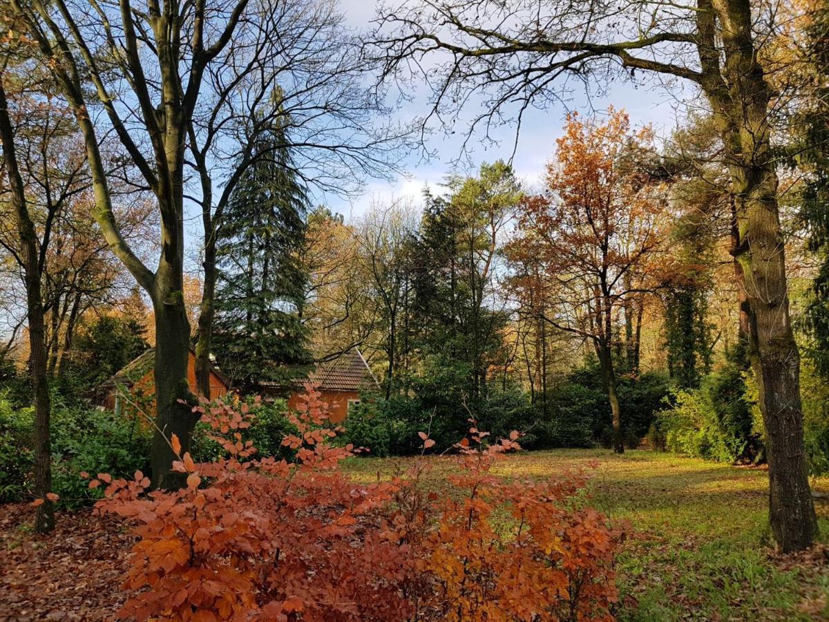 Willa Chalet Forest Baarle-Nassau Zewnętrze zdjęcie